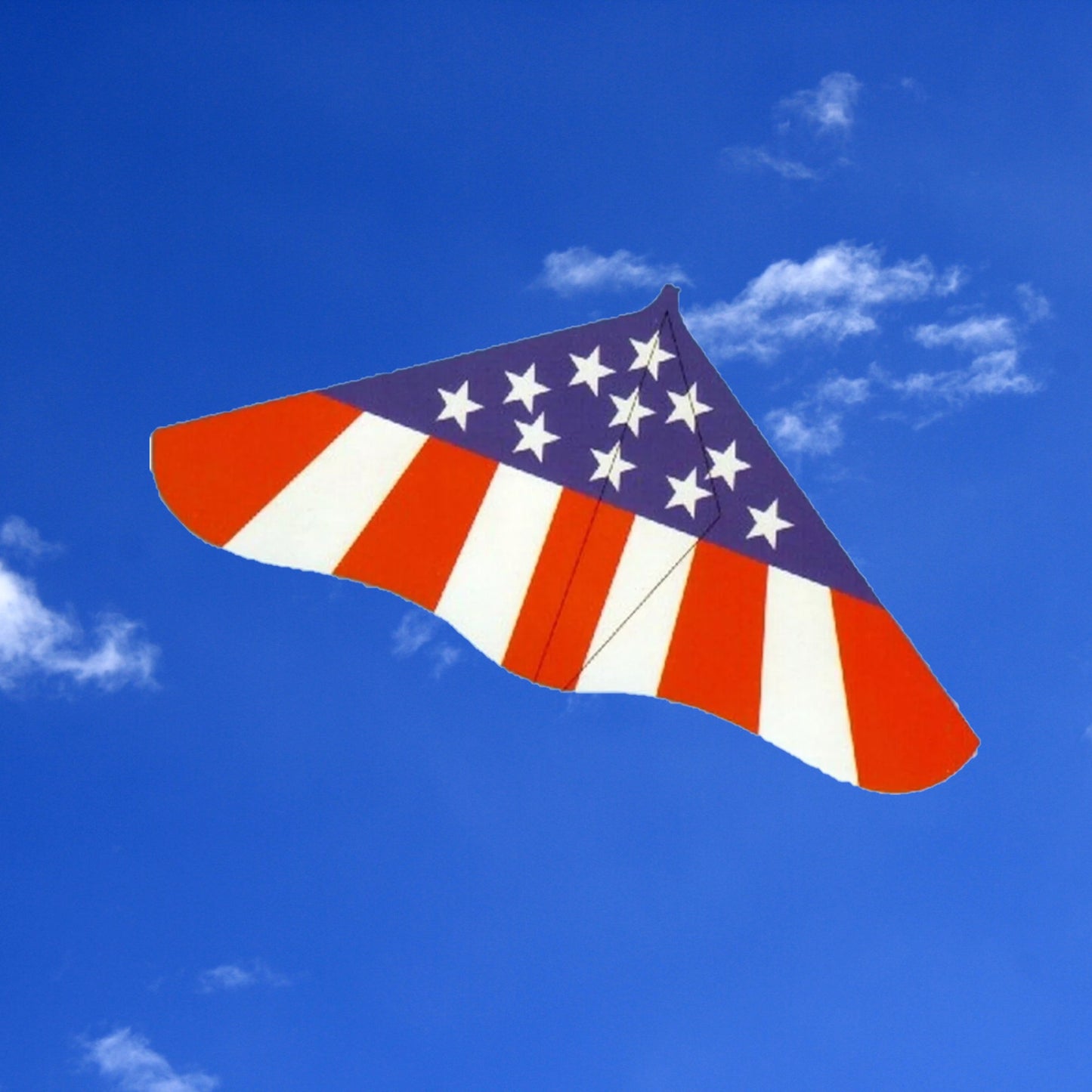 Spirit of America Kite Gayla Delta 42 Inch Made in USA