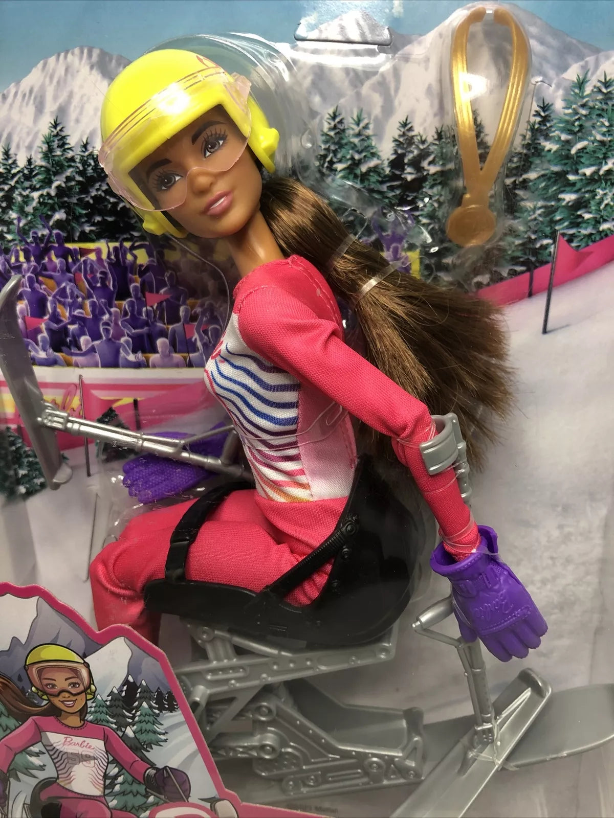 Barbie Doll Para Alpine Skier with Helmet Gloves Poles Sit Ski Trophy